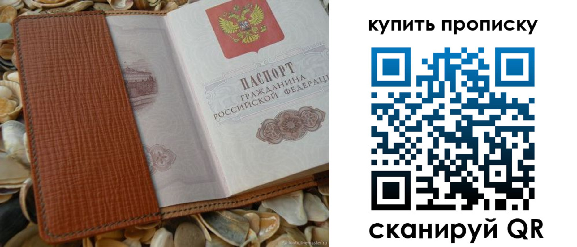прописка 2025 в Раменском